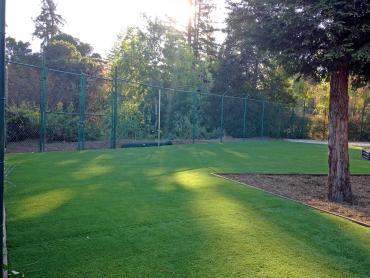 Artificial Grass Photos: Plastic Grass Newell, California Landscape Design, Parks